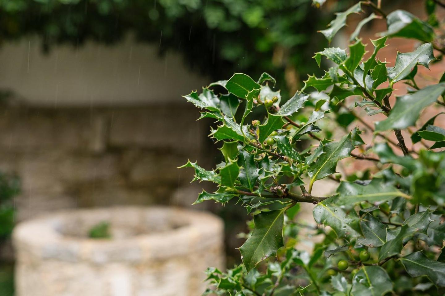 Guestready - Magnolia Studios & Apartments OOporto Esterno foto